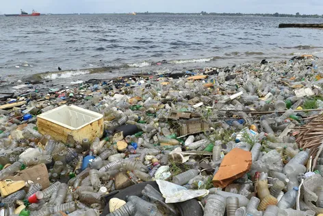 Проблема океана - пластик